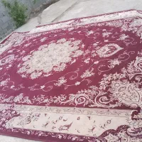 فرش نو|فرش|ساری, |دیوار