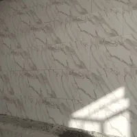 استادکاشیکارم