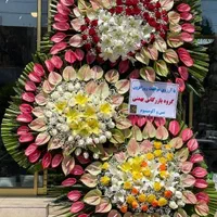 گل شادی،عروسی،فروشگاه،تبریک،موفقیت|گل و گیاه طبیعی|مشهد, گلبرگ شمالی|دیوار