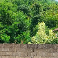 زمین نیمه ساز|فروش زمین و ملک کلنگی|ماکلوان, |دیوار