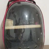 کوله پشتی برای حمل پرنده