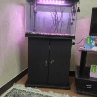 اکواریم درسا|ماهی|اهواز, پردیس|دیوار