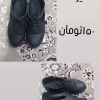 کفش زنانه|کیف، کفش، کمربند|نیشابور, شهرآرا|دیوار