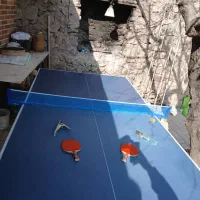 میز پینگ پونگ تا شو|ورزشهای توپی|کوهسار (البرز), |دیوار