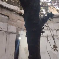 اطاق ده متری از ملک حیاطی ۳۰۰متری مسکونی کارگاه