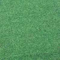 اجاره ای ویلایی دربست