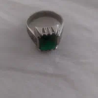 پرنده|پرنده|کوهسار (البرز), |دیوار