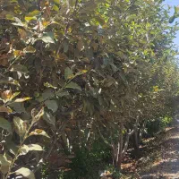راهنمایی جهت اوغات فراغت
