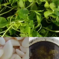 سبزی قرمه و ترش واش،پیاز سرخ کرده،دلار