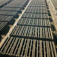 واگذاری کارگاه بلوک سیمانی در حال کار