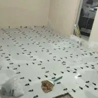 باسازی و نوسازی|خدمات پیشه و مهارت|تهران, کیانشهر|دیوار