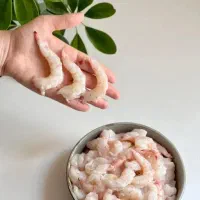 میگو پاک میکنم همراه رگ گیریی از یک کیلو تا صدکیلو