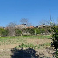 فروش زمین جفت بافت مسکونی نودهک