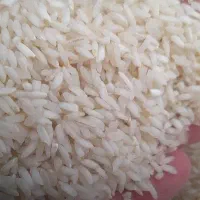 انواع برنج های عنبر بو