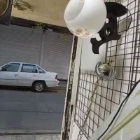 لوستر۲شاخه استیل .... دیوار کوب طرح چوب|لوستر و چراغ آویز|کرج, برغان|دیوار