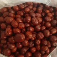 عناب بیرجند