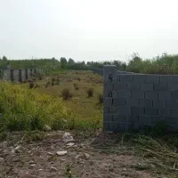 منطقه آزاد میرود|فروش زمین و ملک کلنگی|بهنمیر, |دیوار