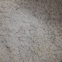 برنج هاشمی گیلان|خوردنی و آشامیدنی|قم, کلهری|دیوار