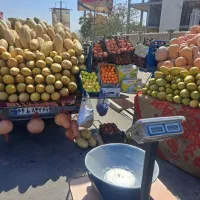 کارگر برای میوه فروشی