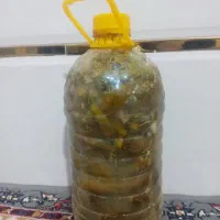 خیارشور تازه و خوشمزه