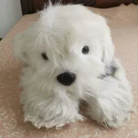 عروسک سگ خارجی