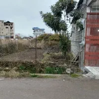 فروش نانوایی کردیکلا