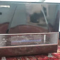 بخاری سالم و نو