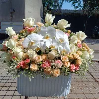 دسته گل ، گل|گل و گیاه طبیعی|ری, بازار گل خاوران|دیوار