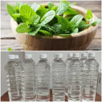 عرق نعناع دو آتیشه طبیعی و ارگانیک