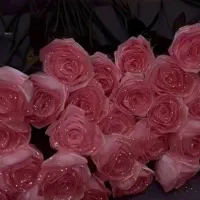 گل ربانی
