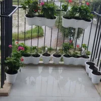 فروش اپارتمان تک واحدی ۱۳۷متربرخیابان دانش|فروش آپارتمان|گنبد کاووس, |دیوار