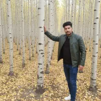 بهاری سبز با نهــال‌های صــنوبر تخفیف‌دار شروع کن