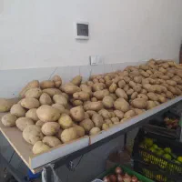 ویترین میوه فروشی|فروشگاه و مغازه|رضوانشهر, |دیوار