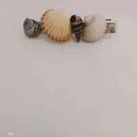 زیورآلات|بدلیجات|آستانه اشرفیه, |دیوار