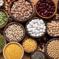 استخدام  ویزیتور