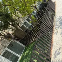 پانسیون و آموزش سگ