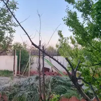 باغ ۳۱۰ متری و رویایی|فروش زمین و ملک کلنگی|تهران, کریم‌آباد|دیوار
