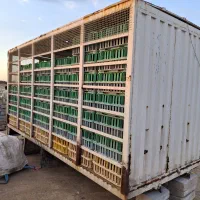 اتاق مرغی ایسوزو