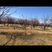 باغ 2800 متری سیاخ