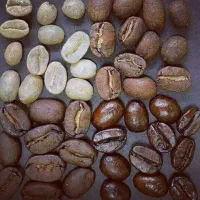 میکس قهوه جزیی  عمده همکاری پخش