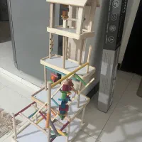 شهر بازی پرندگان