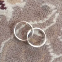 گوشواره نقره وبدلیجات