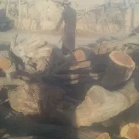 خرید و برش انواع چوب باغی|خدمات باغبانی و درختکاری|قائن, |دیوار