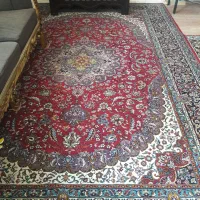 فرش ۶متری|فرش|رشت, کوی مهر|دیوار