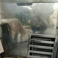 یخچال فریزر دو دره|یخچال و فریزر|آق قلا, |دیوار