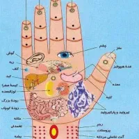 دست(درمان بیحسی.لرزش.ضعف )