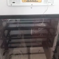 دستگاه جوجه کشی اسکندری|لوازم جانبی حیوانات|شاهین دژ, |دیوار