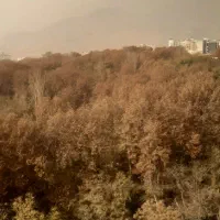 ۱۶۹۰متر کلنگی دروس تهاتر