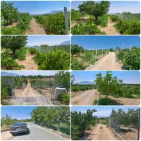 چند قطعه باغ با اتاق و فنس پل زمانخان|فروش دفتر صنعتی، کشاورزی، تجاری|سامان, |دیوار