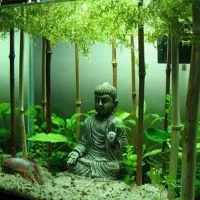 اکواریوم با تمام لوازم|ماهی|قزوین, |دیوار